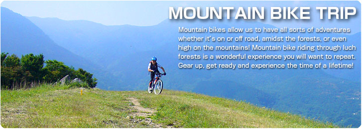 mountain bike trail riding